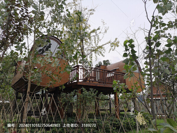 露營基地