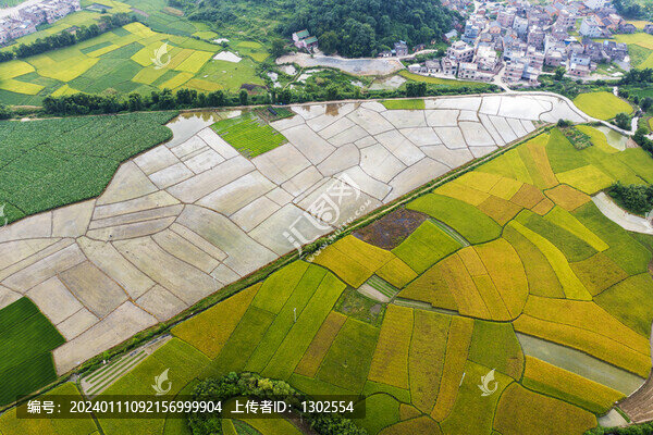廣西鐘山公安鎮(zhèn)美麗田園航拍