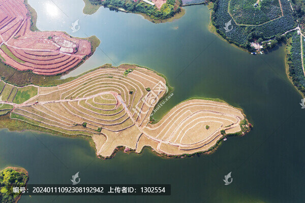 廣西鐘山軍沖水庫(kù)神龜航拍