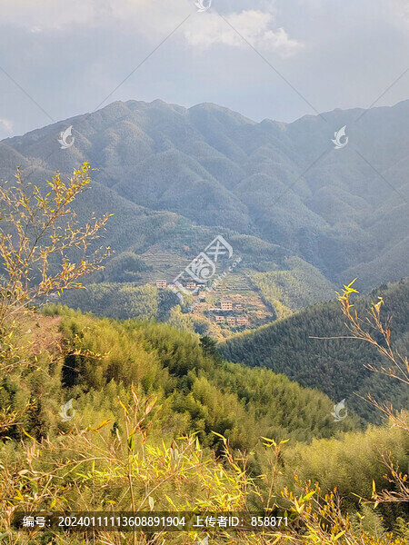 信宜馬安竹海