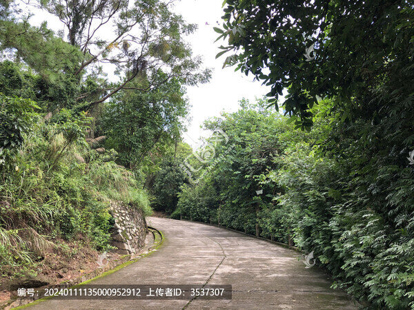 公園小路