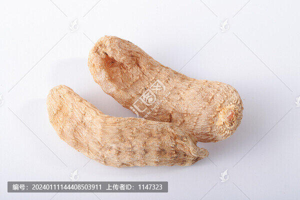 野生天麻