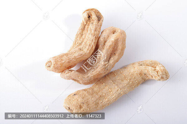 干天麻