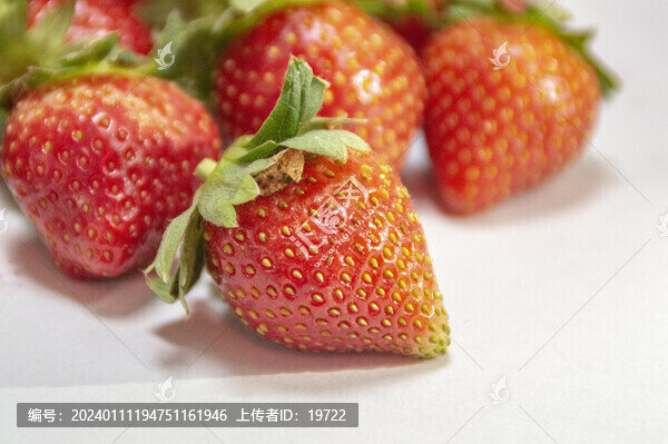 新鮮草莓