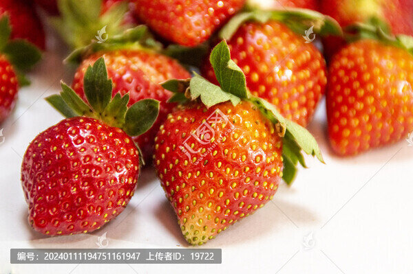 新鮮草莓