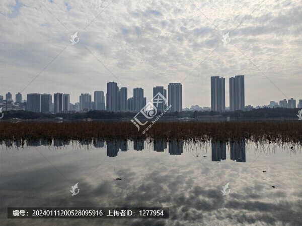 城市