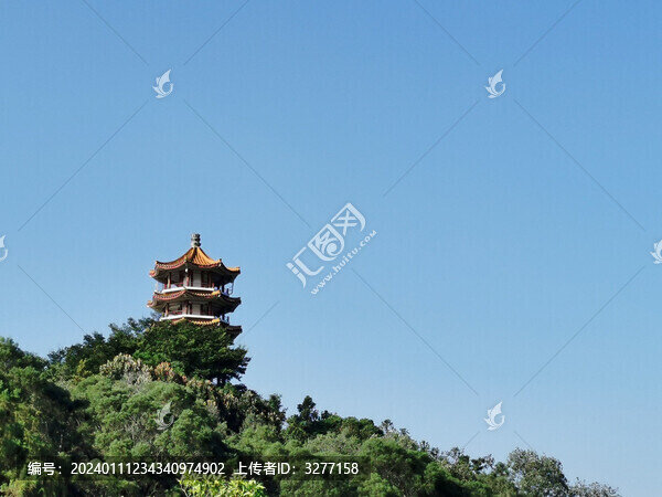 深圳仙湖植物園一角