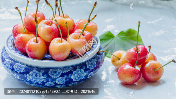 青花瓷茶具逆光智利車厘子