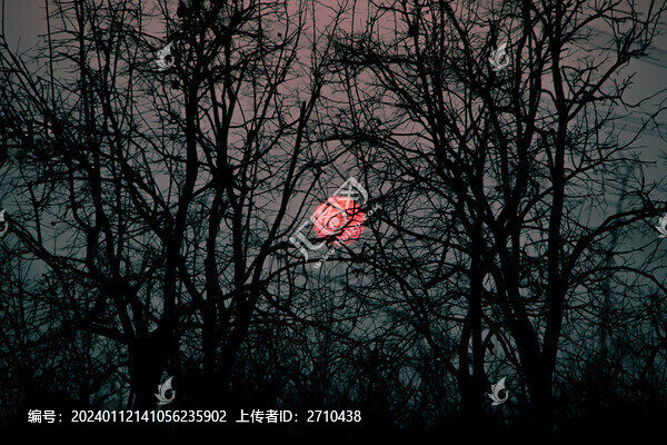 日落
