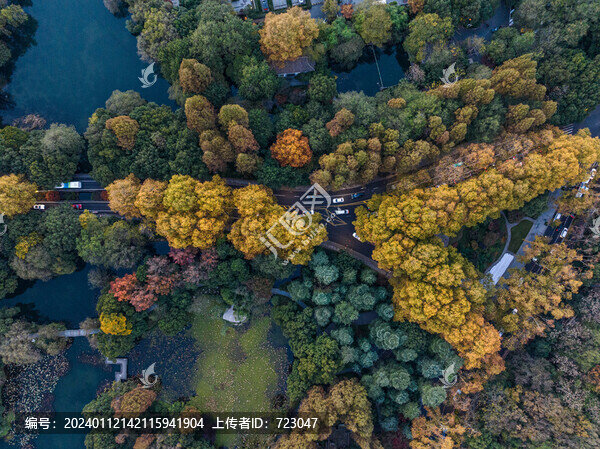 杭州西湖楊公堤