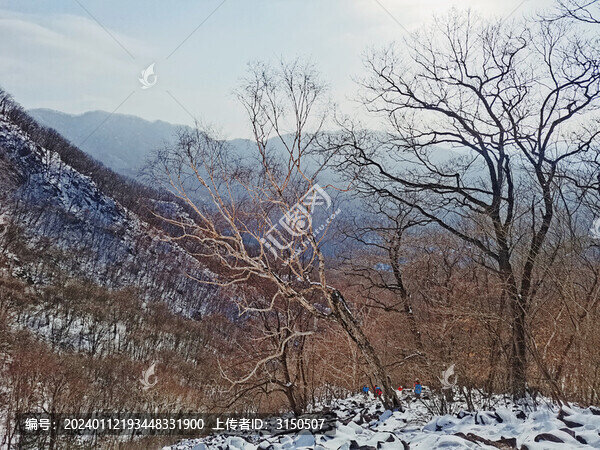 冬天的山
