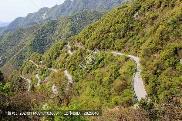 皖南桃?guī)X公路