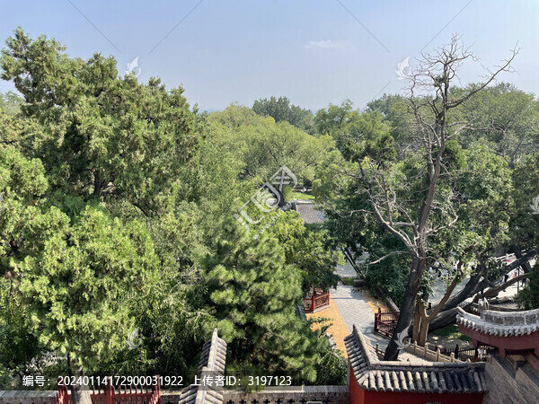 晉祠風(fēng)景
