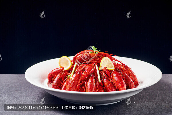 清水龍蝦