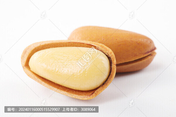 野生松子