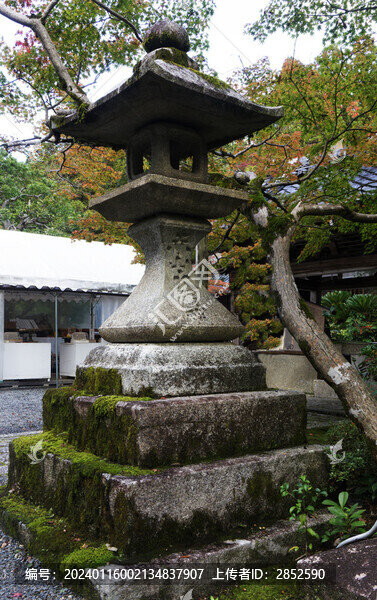 仰視石燈