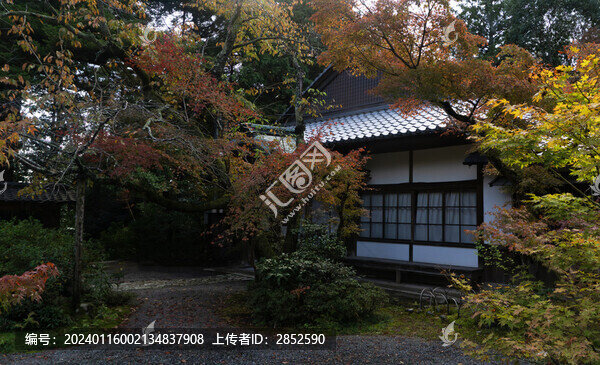 院落
