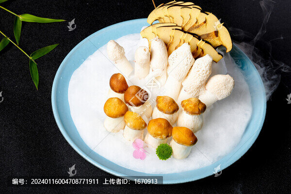 菌菇火鍋菜品擺盤