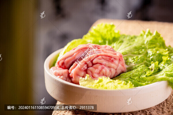 豬腦羊腦