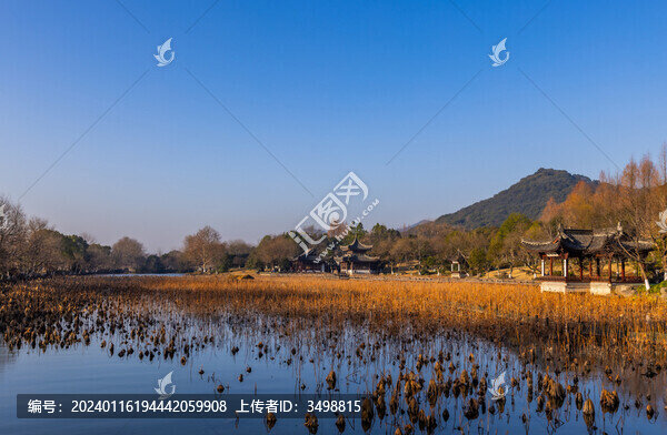 杭州湘湖荷花池景點