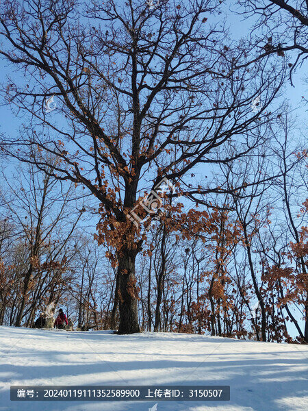 雪地穿越