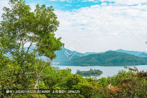 綠色植被深圳水庫