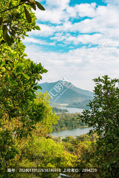 深圳淘金山綠道風景