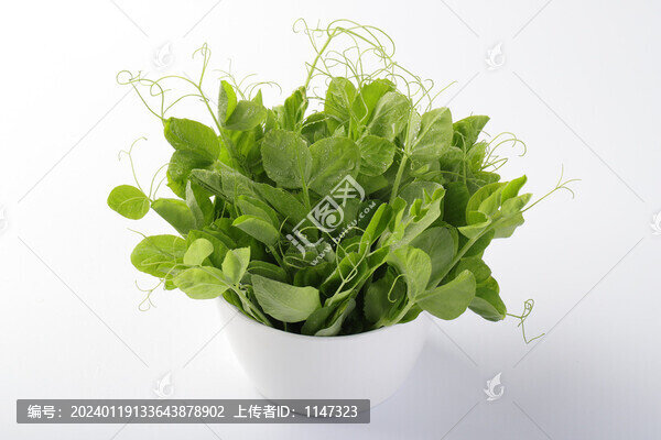 豌豆顛
