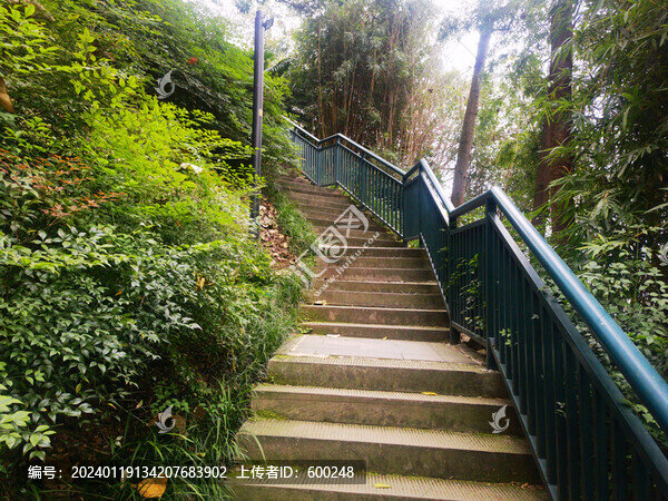 登山步道