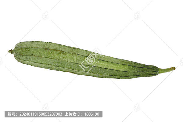 絲瓜