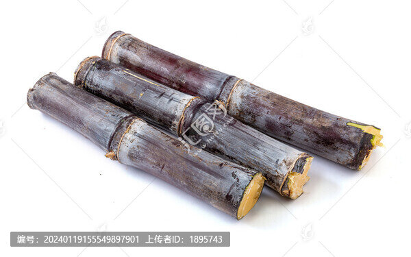 紫皮甘蔗