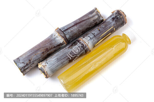 紫皮甘蔗和甘蔗汁