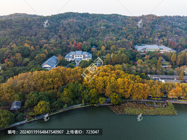杭州北山街秋色