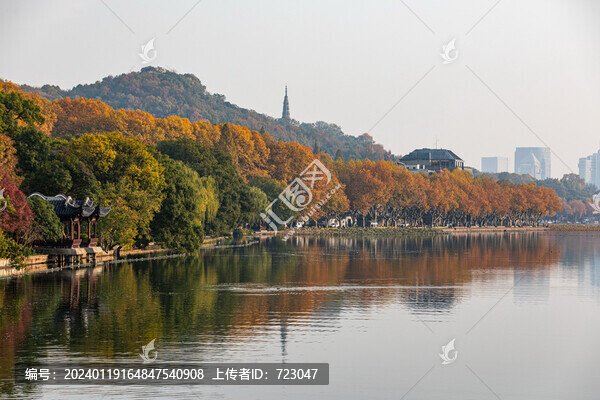 杭州北山街秋色