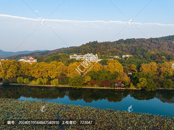 杭州北山街秋色