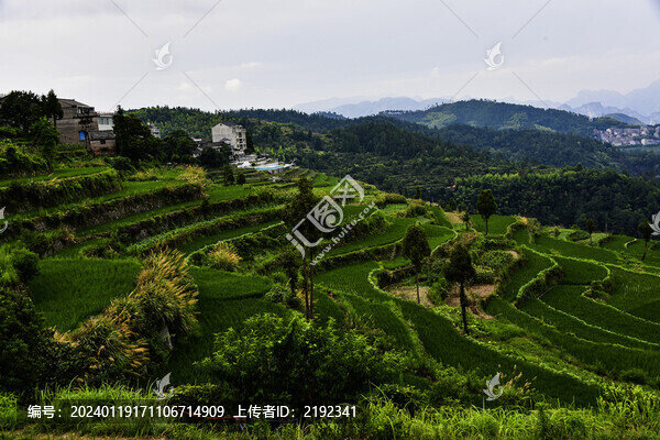 浙南永嘉山區(qū)茗岙梯田風(fēng)光