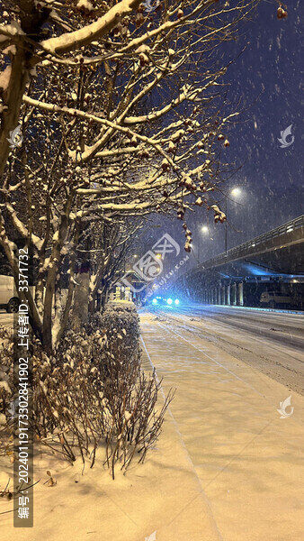 雪景