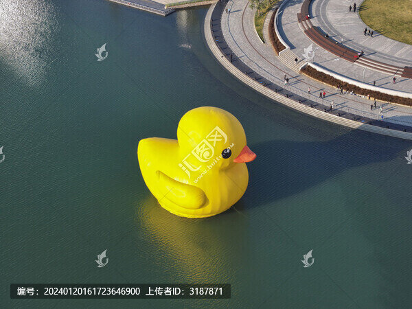 深圳灣大黃鴨