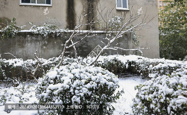 小區(qū)雪景