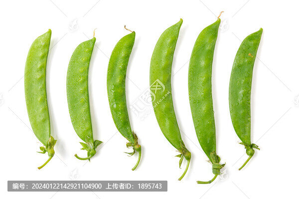 荷蘭豆角豌豆角