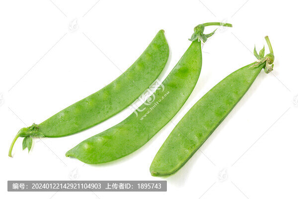 荷蘭豆角豌豆角