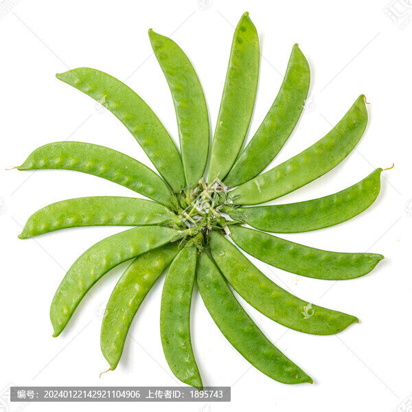 荷蘭豆豌豆豆角