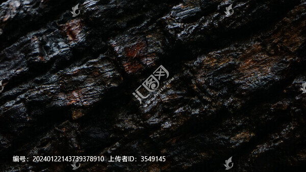 樹皮