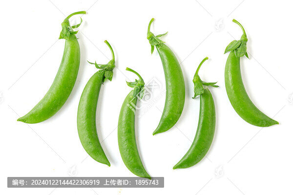 甜豆豆角新鮮綠色食材