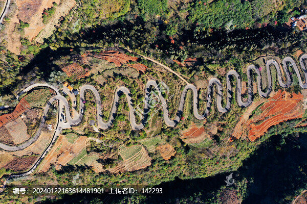 山路彎彎