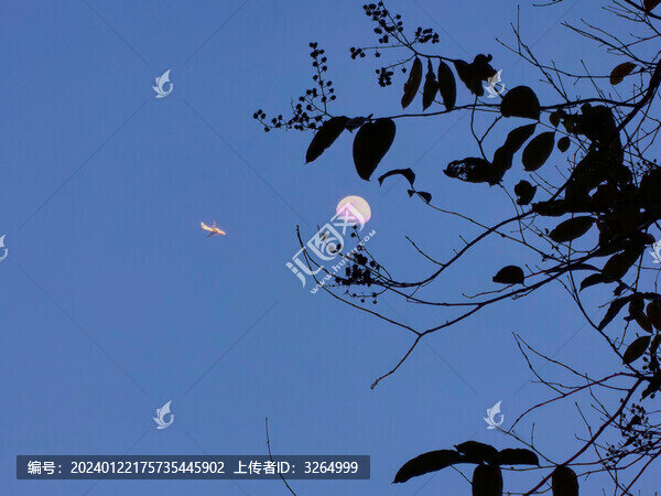 月亮