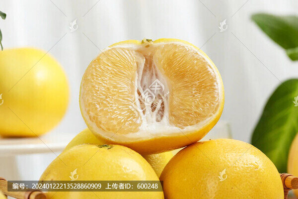 葡萄柚