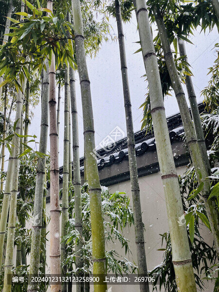 竹林雪景