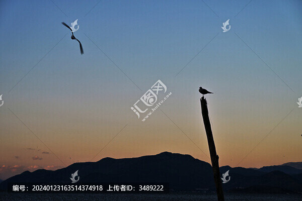 黃昏戀曲