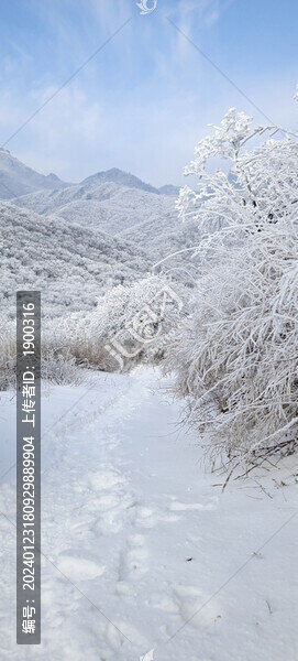 俯瞰登山